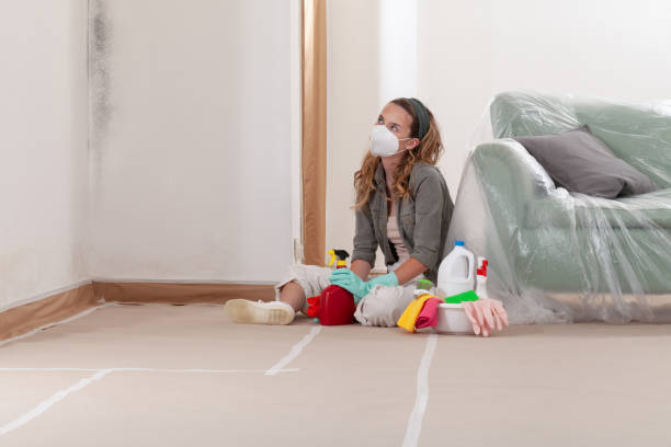 Reliable Bathroom Mold Removal contractor in Cardinal, VA by WQB Mold Removal